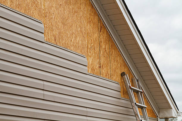 Professional Siding Inspection technician working in Williston, FL